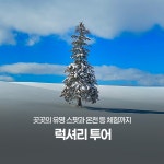[럭셔리투어] 흰그림자투어 훗카이도 비에이 후라노 일일투어 : 흰그림자투어 주식회사