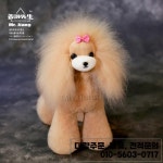 장씨 테디 풀 헤어 (가발만 모델  리얼리틱 도그 그루밍 연습용 트레이닝용 : 늘이즈유통