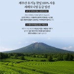 키마레 제주 순수말차파우더 100g 40개(1박스) : 유니 공간