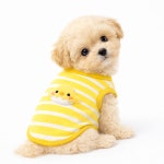 렛츠독 귀요미 초소형 아기 강아지 고양이 스트라이프 면 티셔츠 맨투맨 노랑병아리 옷 XXS : 렛츠독