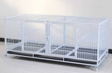 고양이 호텔장 철장 격리장 집 안전 철제 사육장 농장 160x70x65cm칸막이트레이(준화) : 코지 라마 스토어