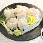 광어회 숙성회 필렛 완도 제철활어 노량진수산시장 250g, 1개 : 노량진마왕