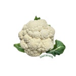 샛별농산 생 컬리플라워 콜리플라워 1kg : 샛별농산