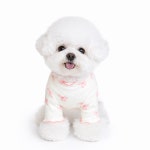 렛츠독 강아지 발레코어 잘늘어나는 리본 골지 사계절 티셔츠 실내복 옷 핑크리본 XXS : 렛츠독