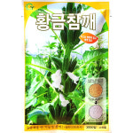 황금참깨 3000립 참깨씨앗 26 : 중앙종묘농약사