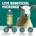 SCD 바이오 유기 위한 첨가제 프로바이오틱스 오리 토끼를 소화 돼지 액체 축산 사료 1 Liter (4 Pack) : 모노먼데이