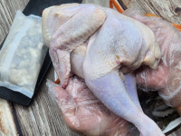 대헌수산 동해안  고급 해산물만 골라 담은 복가득 쭈꾸미 해신탕  쭈구미 해신탕 : 대헌수산