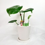 단체수업을 위한 그림책원예 창업과정 : 엘플로르