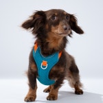 클레이클럽 고 맨텀 하네스 [핑크,블루,그린,그레이] : 퍼피갤러리