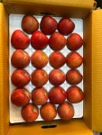 [달콤상회] 새콤달콤한 고당도 부사 5Kg : 달콤상회-Dalcom