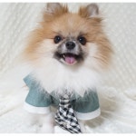강아지 와이셔츠 도면 정장 패턴 강아지옷 만들기 넥타이 도안 추가 소형견 대형견 : 펫 DIY