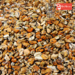 냉동 자숙 홍합살 벌크박스 10kg (익힘 손질 탈각 깐홍합 알홍합 대용량 업소용 도매용) : 에이제이푸드