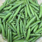햇 완두콩 껍질콩 산지직송 제철완두콩 2kg, 1개 : 예준농장