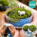 이끼 테라리움 만들기 깃털이끼 자연물 활동 자연가습 유치원 참여수업 DIY 10인용 : 퍼니 팩토리