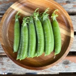 햇 완두콩 껍질콩 산지직송 제철완두콩 2kg, 1개 : 예준농장