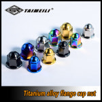TAIMEILI 1pcs 티타늄 합금 캡 폐쇄 플랜지 너트 M8 M10p1.25 수정 수리 너트 : 제스118