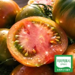 진토백미 대저토마토 짭짤이 농협협동조합 로얄과 20Brix, 1kg, 1개 : 진토백미 농수산물