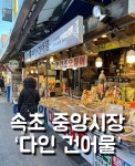 살이통통쥐포 두꺼운쥐포 속초 강릉 양양 주문진 쥐포 속초중앙시장쥐포 속초다인건어물 베트남쥐포 : 속초다인젓갈건어물