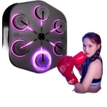 연습 목제 1 기본품목 가정용샌드백 펀칭 L2 권투연습 9단 전원코드 펀치훈련 기기 뮤직복싱 검은 L2 기본품목 기기 전원코드 : 스튜디오 드지에