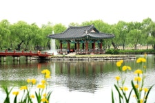 부여 당일여행 - 부소산성+황포돛배+정림사지+국립부여박물관+궁남지 / 백마강길 따라 백제로 떠나는 여행 : 트립앤미