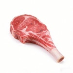 장난감강아지 이갈이 및 지루함 해소 장난감 내구성 있는 옥스포드 천PP코튼 모조 스테이크 대형견 소리 나는 애완용품 : 스마트랩팩토리갈산