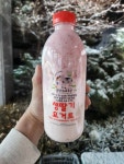 평창 보배목장 생딸기 요거트 : 벨라맘마 마켓