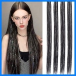 24인치 합성 걸이형 염색 헤어 익스텐션 가발 여성 하이라이트 롱 스트레이트 헤어 가발 : 더블루락