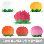 6호 명품연등(1박스50개입) -최대지름 20cm - 연등/부처님오신날 : 붓다존