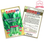 호남 남도 열무 씨앗 30g : 열매팜스토어