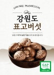 [GAP인증] 강원도 생표고버섯 가정용 2kg 산지직송 신선배송 : 리브로마켓