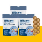 [페스룸] 스파이더웹 덴탈바 올인원 트리플세트 (3팩) 개껌 강아지덴탈껌 애견 간식 : PETHROOM