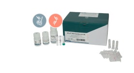 APure™ RNA CleanUp mini (RNA CleanUp, DNA removal) H3225 (250) : 바이오메이트랩