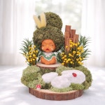 스칸디아모스 못난이인형 공기정화식물 승진 개업 집들이선물 미세먼지먹는 식물 142 : 숲속나무향기