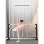 발레바 스트레칭 바 2단 일체형 이동식 댄스 연습 봉 스탠드 한 쌍의 지지대 : 카스나1