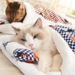 Itsok 고양이 이불방석 실내쉼터 캣배딩 고양이소파 애묘용품 : 잇츠OK