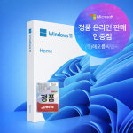 [한국MS인증점] 마이크로소프트 윈도우11 홈 Windows Home FPP 처음사용자용 한글 USB포함 : LG PC파트너 해오름