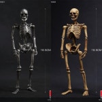 재고 있음 101TOYS 1/12 스케일 해골 해골 원자재 ES001-ES002 Collectible Action Figure 장난감 컬렉션 장식품 : 한강무역상사13