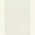 8절 근영사 240g 마분지 100매 CW03681D : 도매공간