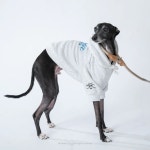 [ Basic Buddy Hoodie / 베이직 버디 후디 ] 화이트 멜란지 : 포핏클럽PAWFITCLUB