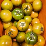 [단독특가] 농협직송 정품인증 부산 대저토마토 : 농수산 시장판매