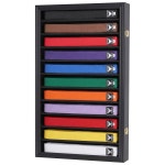 11열 무술 / 가라테 태권도 케이스 먼지 방지 디스플레이 랙 문 벨트 벽장 Black Finish : JWTech