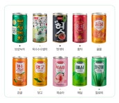 다인 보성녹차 175ml 90캔(3박스) 미니 주스캔음료 : 주식회사 다인생활건강