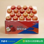 [경북농협/대경사과원예농협] 경북 못난이사과 10kg (40과내/52과내) : NH경북농협