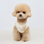 그루밍댕이 반려동물 슬리핑베어 극세사 곰돌이 수면조끼 S-2XL, 2 colors : 그루밍댕이
