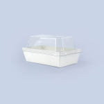 브런치 직사각(중-화이트)SET 50개 : 주식회사 마이드