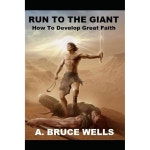 거인에게 달려라 위대한 믿음을 키우는 방법 : 효성동민턴