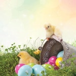 훌륭한 논문들! 이스터 칙스 레터헤드, 8.5인치 x 11인치, 80 카운트 (2017029) : 파셀몰100