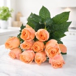 (빅이벤트)로즈피아 비하이브 스탠다드장미 한단 10대 농장당일직송 튼튼하고 싱싱한 오래보는 : 주식회사 로즈피아