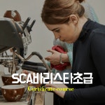 SCA 바리스타 스킬스 초급(Foundation) 자격증 커피 공부 국제 커피학원 서울 : 플로라커피 아카데미