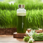 파이토리진 유기농 새싹보리 착즙분말 원데이 2100% 5박스 (5개월분) 현빈새싹보리 : 에이치엘사이언스